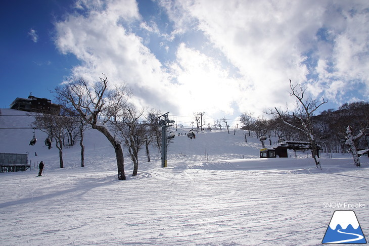 ニセコマウンテンリゾート グラン・ヒラフ　粉雪と千歳ワイナリーの美味しいワインに酔う♪